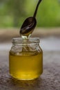 Honey in jar and window with green on backcground Royalty Free Stock Photo