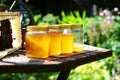 Honey Jars in the sun Royalty Free Stock Photo