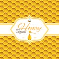 Honey label template for honey logo products with bee and drop of honey on Honeycomb colorfull pattern background