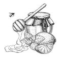 Honey with lemon and mint vector drawing. Jar, wooden spoon, hon