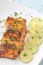 Honey lime salmon on the plate Royalty Free Stock Photo