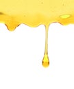 Honey liquid background.