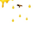 Honey liquid background.