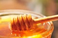 Honey macro with wooden honey dipper and glass jar.