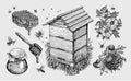 Honey, mead. Beekeeping, apiculture, bees sketch vector illustration Royalty Free Stock Photo