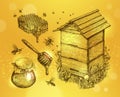 Honey, mead, beekeeping. Hand drawn apiculture sketch vector illustration Royalty Free Stock Photo