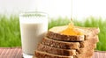 Honey and milk with bread Royalty Free Stock Photo