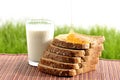 Honey and milk with bread Royalty Free Stock Photo
