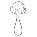 The honey mushroom, black and white illustration