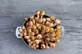 honey mushrooms in a metal plate on a wooden table Royalty Free Stock Photo