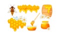 Honey omb with Hexagonal Wax Cells and Glass Jar Poured with Honey Vector Set Royalty Free Stock Photo
