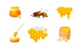 Honey omb with Hexagonal Wax Cells and Glass Jar Poured with Honey Vector Set Royalty Free Stock Photo