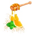 Honey and orange splash Royalty Free Stock Photo