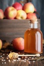 Honey Pink Himalayan salt and Apple Cider Vinegar Royalty Free Stock Photo