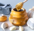 A close up view of a honey pot with a dipper dripping honey and surrounded by garlic and a garlic press. Royalty Free Stock Photo