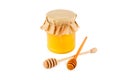 Honey pot and dipper isolated on white background Royalty Free Stock Photo