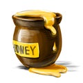 Honey pot isolated on white background Royalty Free Stock Photo