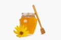 Honey pot with yellow flower and wooden dipper isolated on white background Royalty Free Stock Photo