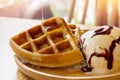 Honey poured into waffles ice cream. Royalty Free Stock Photo