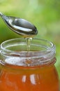 Honey pouring into the jags Royalty Free Stock Photo