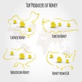 Honey producting countries Royalty Free Stock Photo