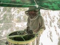 honey production and bees keeping - Beekeeping concept