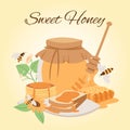 Honey products vector cartoon illustrations. Honey jar, bees, honeycomb pieces and puncakes. Organic and natural honey