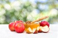 Honey and red apples on table on background of blur green garden Royalty Free Stock Photo