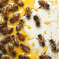 Honey richness with buzzing bees