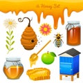 Honey set, bee and hive, spoon and honeycomb, hive and apiary. natural farm product. beekeeping or garden, flower Royalty Free Stock Photo