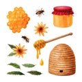 Honey set with bees, honeycomb, beehive, honey in a glass jar, wooden honey spoon, flowers and leaves. Watercolor illustration Royalty Free Stock Photo