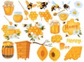 Honey set. Collection of beekeeping. Cartoon apiary set. Illustration of beehive, bees and honeycombs. Vector drawing of