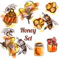 Honey set or collection elements bees comb and honey in waterco