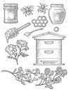 Honey set. Vector vintage black engraving isolated on white Royalty Free Stock Photo