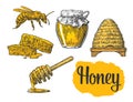 Honey set. Jars of honey, bee, hive, clover, honeycomb. Vector vintage engraved illustration