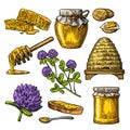 Honey set. Jars of honey, bee, hive, clover, honeycomb. Vector vintage engraved illustration Royalty Free Stock Photo