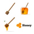 Honey set vector with honeycomb isolated icon, dipper wood spoon cartoon, jar and pot container flat cartoon illustration,