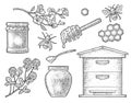 Honey set. Vector vintage black engraving isolated on white Royalty Free Stock Photo