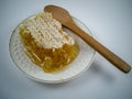 Honey from Sharr mountains