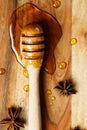 Honey with special spoon close-up Royalty Free Stock Photo