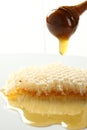 Honey spill from honeycomb class. Royalty Free Stock Photo