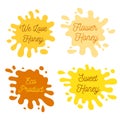 Honey splash set of labels. Splashes and drops collection. Vector illustration