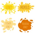 Honey splash set of labels. Splashes and drops collection. Vector illustration