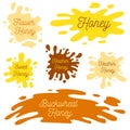 Honey splash set of labels. Splashes and drops collection. Vector illustration