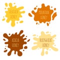 Honey splash set of labels. Splashes and drops collection. Vector illustration