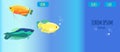 Honey, spotted and moon gourami horizontal banner.Trichogaster labyrinth fish from South Asia.Website template for aquarium store,