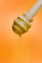 Honey stick Royalty Free Stock Photo