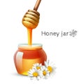 Honey Stick And Jar Royalty Free Stock Photo