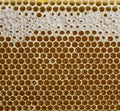 Honey, sweet honey, delicious, beekeeping, honeycomb, natural products