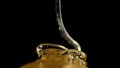 Honey sweet flower stream pouring on black background. Golden liquid nectar flows. Thick sweet drops macro view. Royalty Free Stock Photo